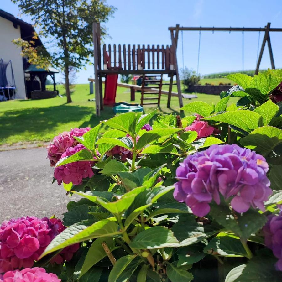Ferienwohnung Lichtenauer Hof Thyrnau Eksteriør billede